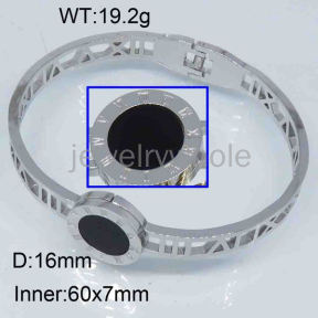 SS Bangles  TZ300490bhjl-436