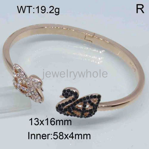 Fashion brass alloy bangle  TZ300500vkla-J37