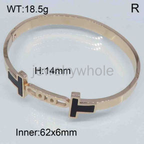 SS Bangles  TZ300528vhov-493