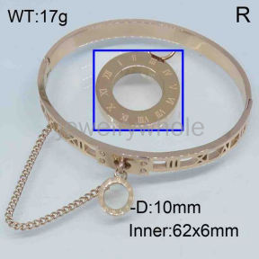 SS Bangles  TZ300542vhov-493