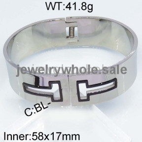 SS Bangle  TZ400107vhov-434