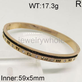 SS Bangles  TZ400223ahlv-493