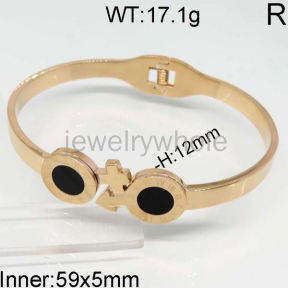 SS Bangles  TZ400296vhol-328