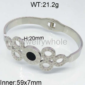 SS Bangles  TZ400304vhml-328