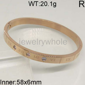 SS Bangles  TZ400312vhll-490