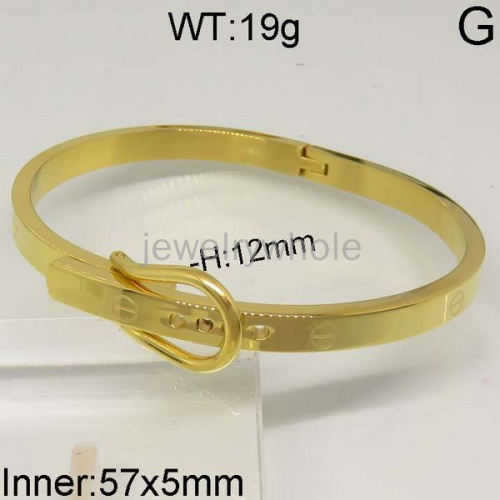 SS Bangles  TZ400317vhov-636