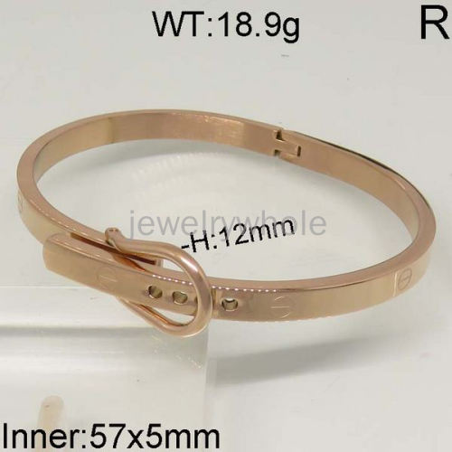 SS Bangles  TZ400318vhov-636