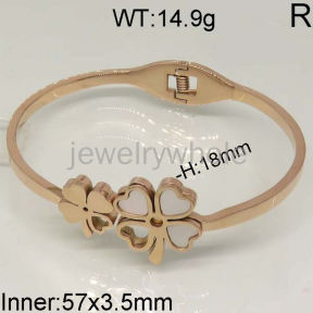 SS Bangles  TZ400334aivb-636