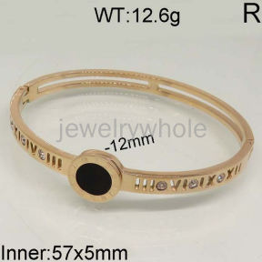 SS Bangles  TZ400352aivb-636