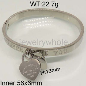 SS Bangles  TZ400365vhmv-636