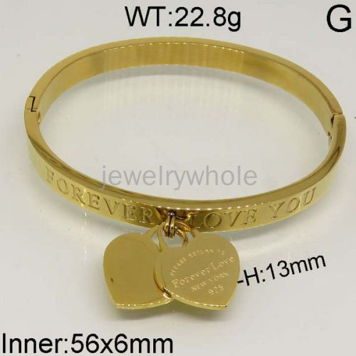 SS Bangles  TZ400366aivb-636