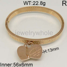 SS Bangles  TZ400367aivb-636