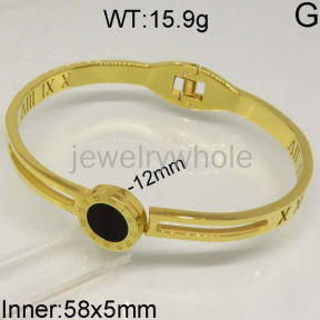 SS Bangles  TZ400374vhov-367