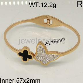 SS Bangle  TZ400452vhov-328