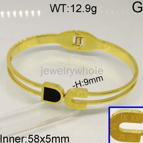 SS Bangle  TZ400466vhnv-328