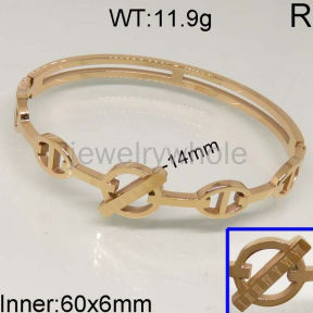 SS Bangle  TZ400473vhnv-328