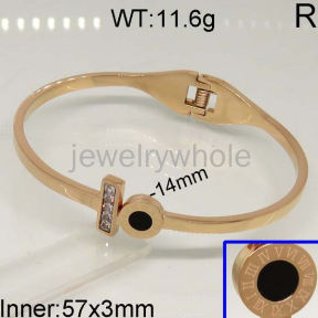 SS Bangle  TZ400476vhnv-328