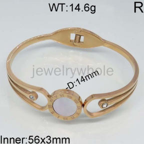 SS Bangles  TZ400520ahpv-473