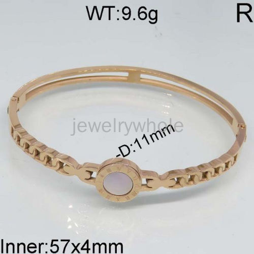 SS Bangles  TZ400523vhov-473