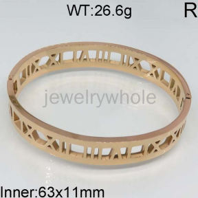 SS Bangles  TZ400526vhov-473