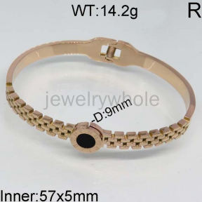 SS Bangles  TZ400538ahpv-473