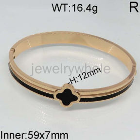 SS Bangles  TZ400573vhov-434