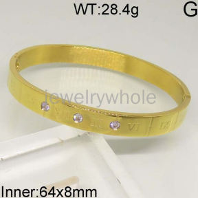 SS Bangles  TZ400591bhhj-654