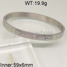 SS Bangles  TZ400594bboo-654