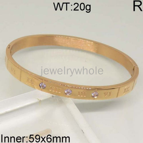 SS Bangles  TZ400596bhij-654