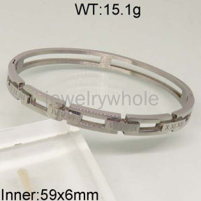 SS Bangles  TZ400598ahjb-654