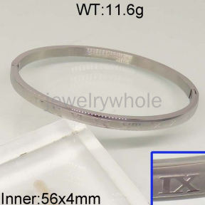 SS Bangles  TZ400602vbnl-654