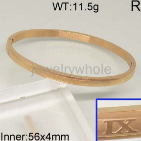 SS Bangles  TZ400603vhha-654