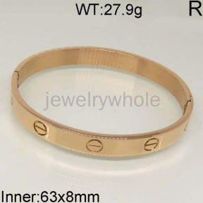 SS Bangles  TZ400611bhjl-654