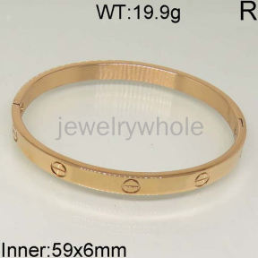 SS Bangles  TZ400613bhjl-654