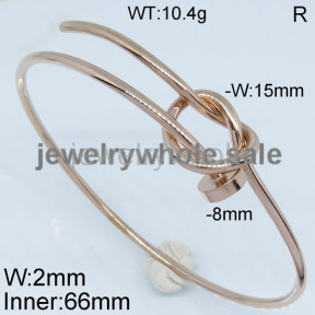 SS Bangle  TZ500095bhia-497