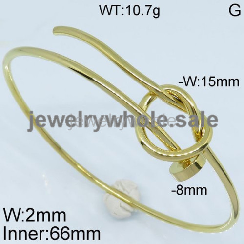 SS Bangle  TZ500096vhha-497