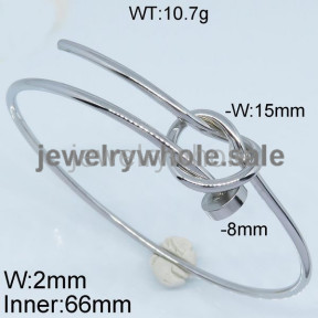 SS Bangle  TZ500097vbpb-497