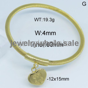 SS Bangle  TZ500098vhha-434