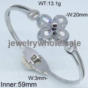 SS Bangle  TZ500135vhov-612