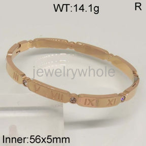 SS Bangles  TZ500171ahpv-636