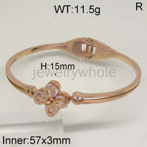 SS Bangles  TZ500177aivb-636