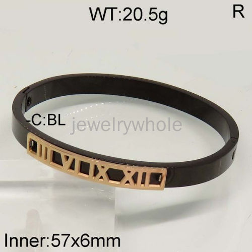 SS Bangles  TZ500192vhnv-636