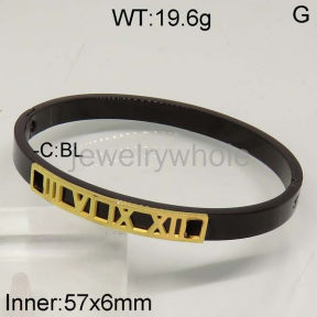 SS Bangles  TZ500193vhnv-636