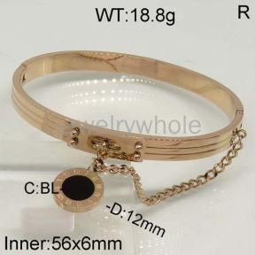 SS Bangles  TZ500197aivb-636