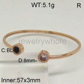 SS Bangles  TZ500200vhov-636