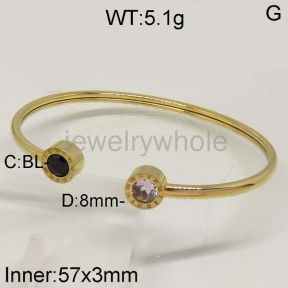 SS Bangles  TZ500201vhov-636