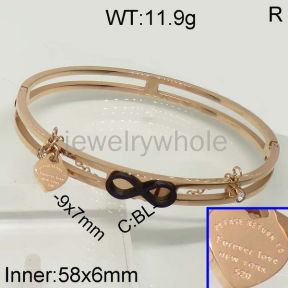 SS Bangles  TZ500203aivb-636