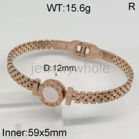 SS Bangles  TZ500224aija-328