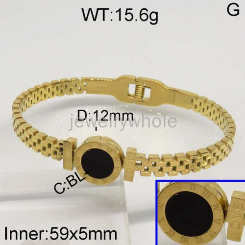 SS Bangles  TZ500225aija-328