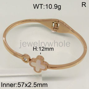 SS Bangles  TZ500234vhov-607